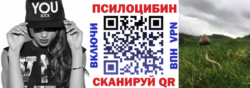 Псилоцибиновые грибы Psilocybe  Купить где  Верхоянск 